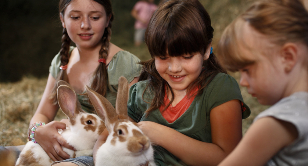 Kinder mit Hasen im Stall. (Bild: Christoph Düpper)