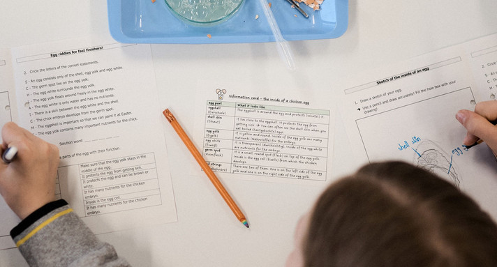 Realschule  Bilinguales Lehren und Lernen an Realschulen