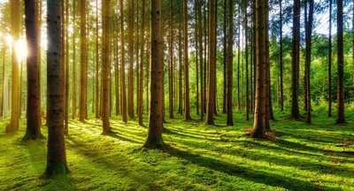 Gr&uuml;nes Klassenzimmer auf der Landesgartenschau Ellwangen 2026