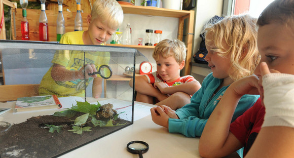 Kindergartenkinder betrachten eine Kröte, die in einem Terrarium sitzt