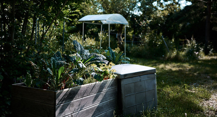 Garten mit Pflanzenkorb im Vordergrund