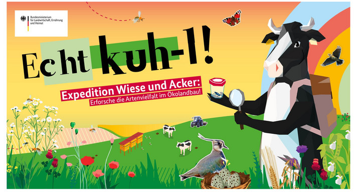 Wettbewerb Der Schulwettbewerb „Echt kuh-l!“ geht wieder los! Ein Plakat mit dem Titel "Echt kuhl", auf dem eine Kuh auf einer Wiese mit Tieren und Pflanzen steht