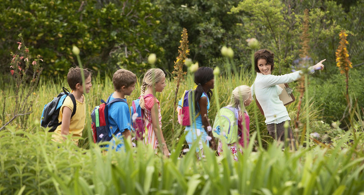 Gruppe mehrerer Kinder mit Lehrerin im Wald bei einem Ausflug